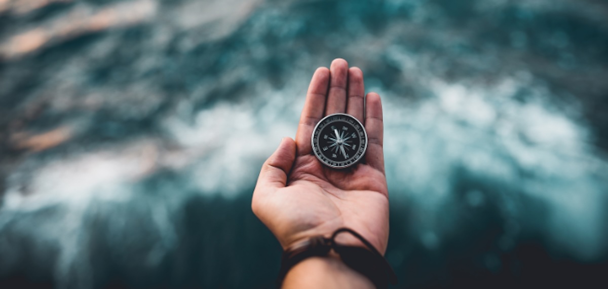 Navigating change in organizations: compass in hand