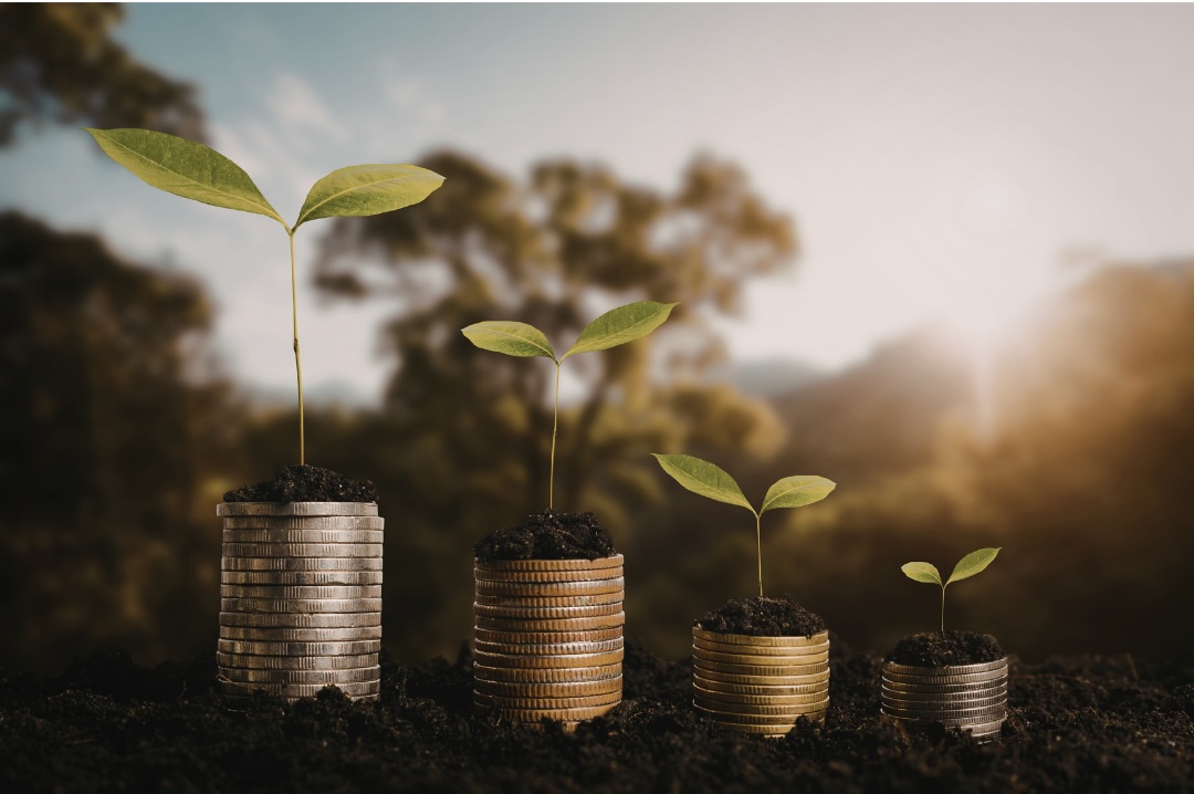 Excellence Consulting study – Bank wealth management: assets grow but revenues per euro managed fall (2019–2024)